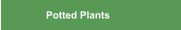 Potted Plants